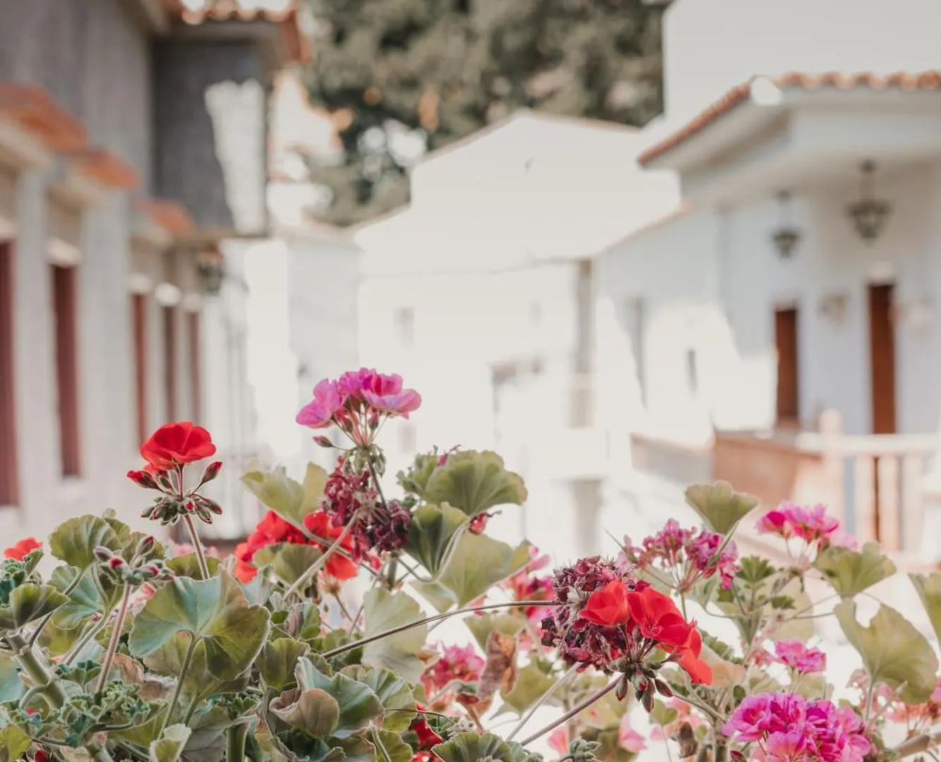 Rural Suite Santiago de Tunte San Bartolomé Apartamento